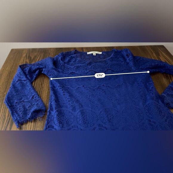 Max Studo Scalloped Hem Lace overlay Shift Dress royal Blue women’s Small - Picture 11 of 16